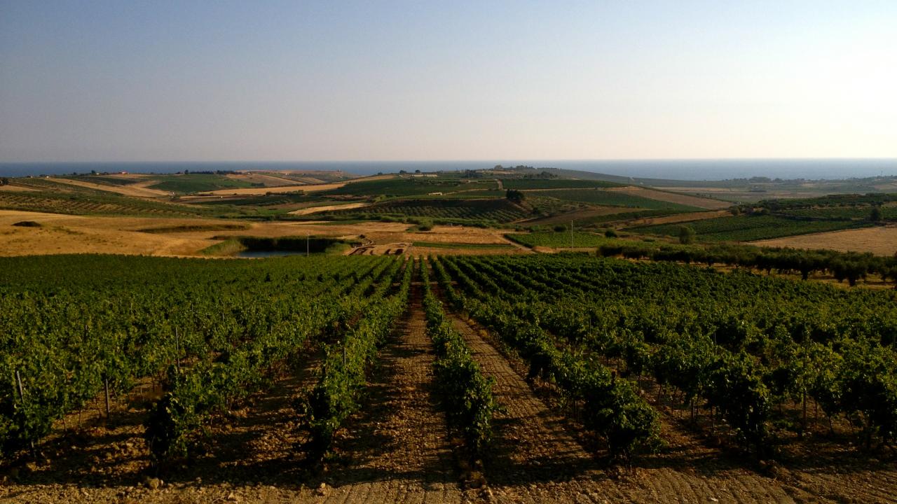 mandrarossa_menfi-gurra-di-mare