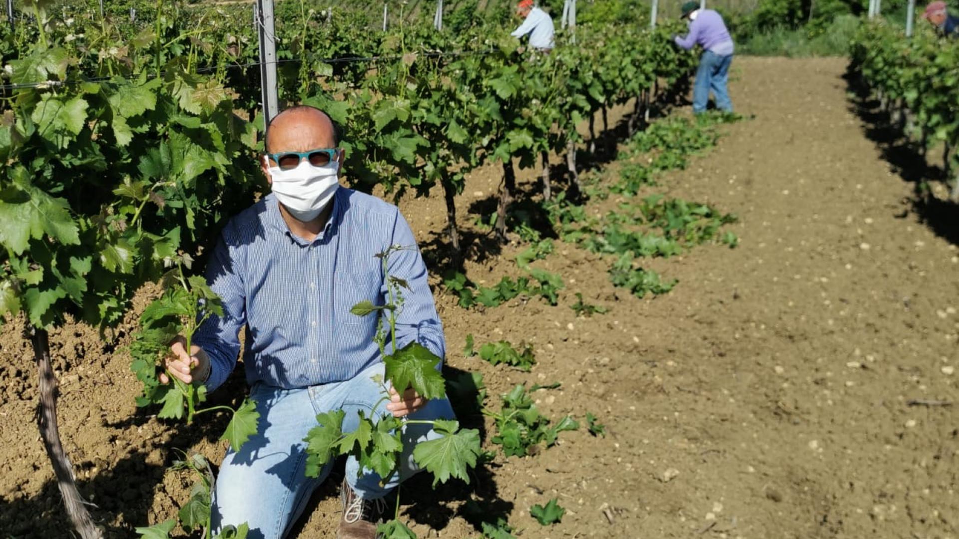 Smart e innovativo, il modello di lavoro ai tempi del Coronavirus Smart e innovativo, il modello di lavoro ai tempi del Coronavirus
