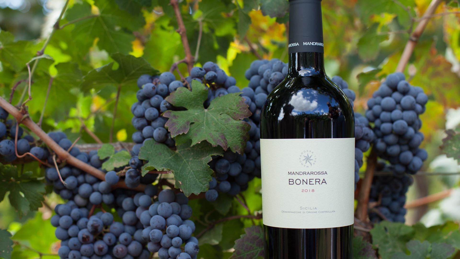 Bonera: Mandrarossa’s red loved by the Irish Bonera: Mandrarossa’s red loved by the Irish