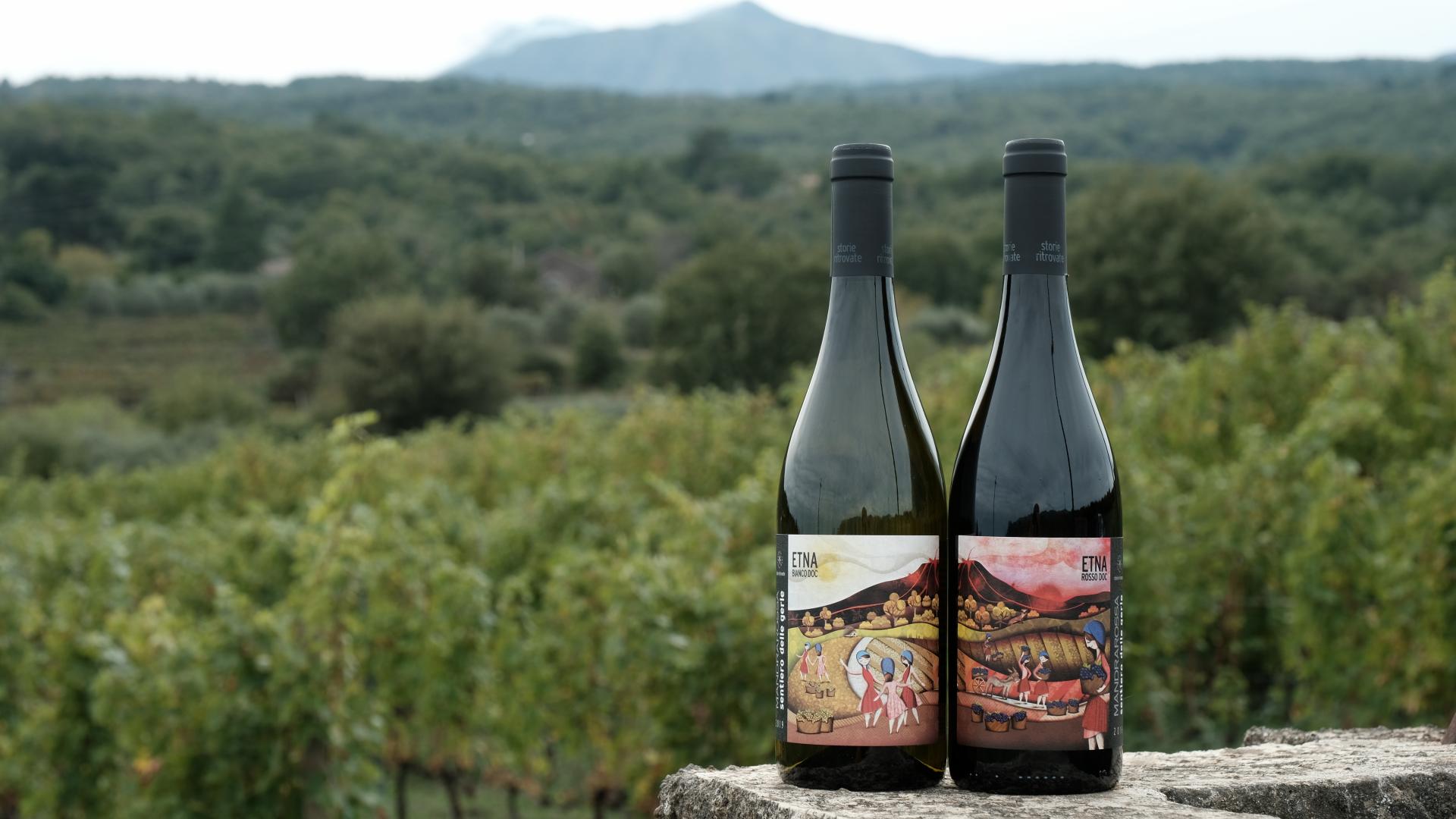 Mandrarossa Etna wines are awarded a gold and silver medal at WOW! The Italian Wine Competition Mandrarossa Etna wines are awarded a gold and silver medal at WOW! The Italian Wine Competition