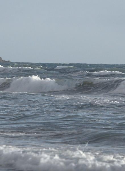Calamossa Calamossa