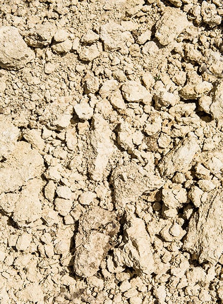 Limestone