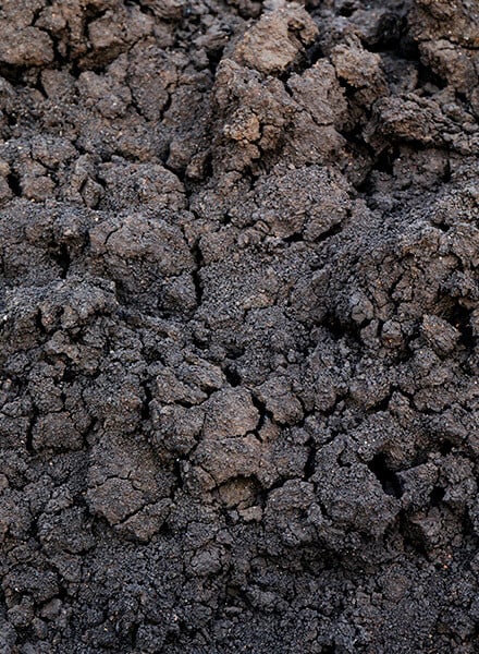 Medium Mixture