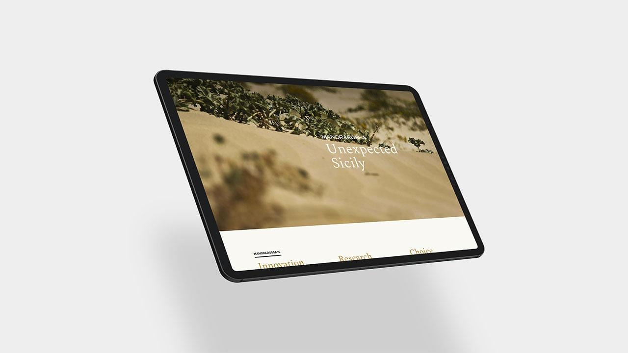 Institutional presentation