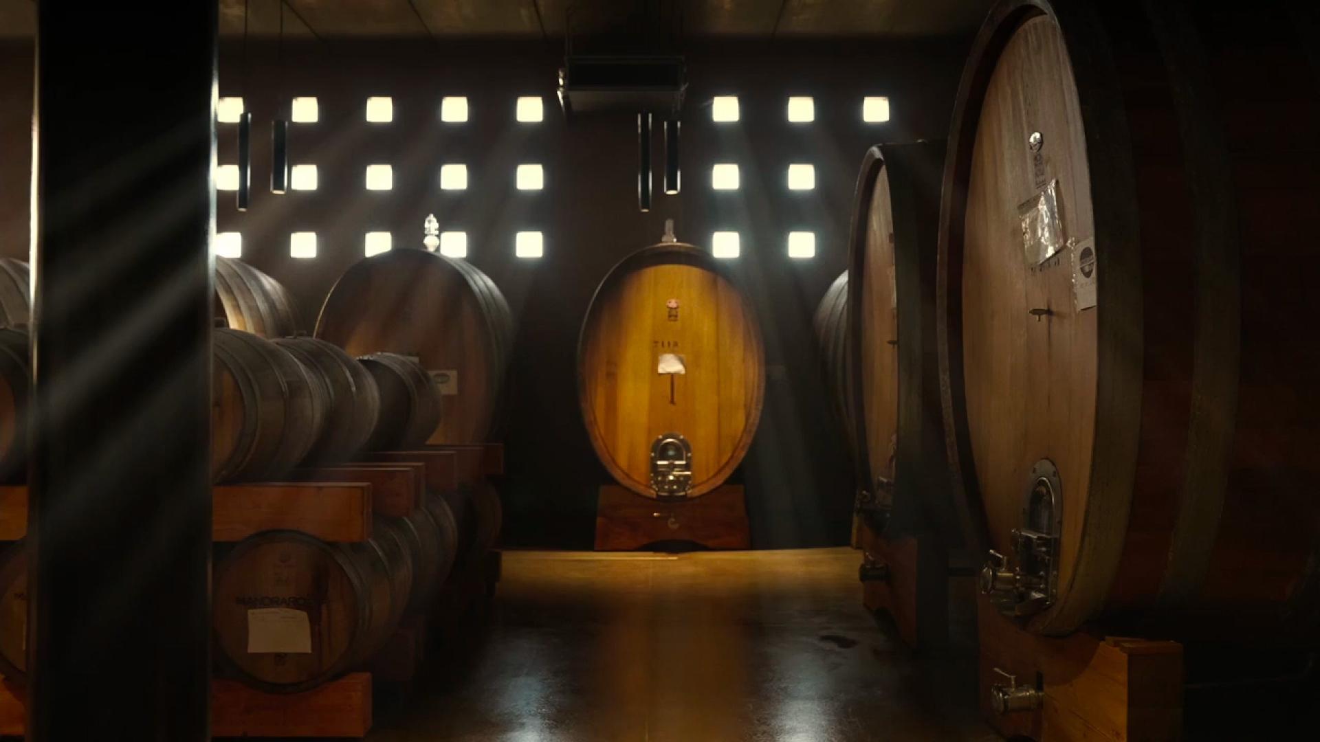 Winetour