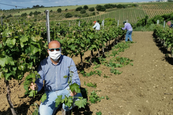 Smart e innovativo, il modello di lavoro ai tempi del Coronavirus