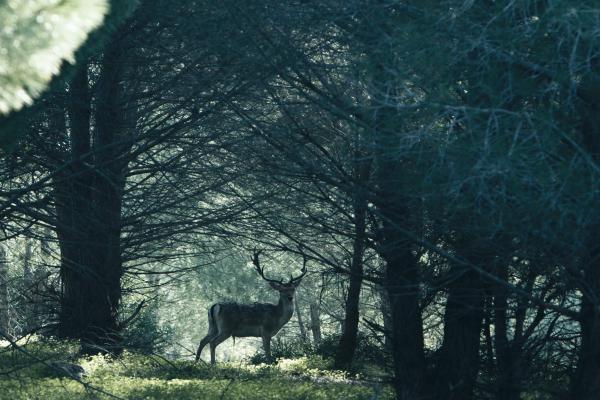 La giuria della 21ma edizione del concorso Interactive Key Award ha premiato il nuovo sito del marchio vinicolo siciliano Mandrarossa