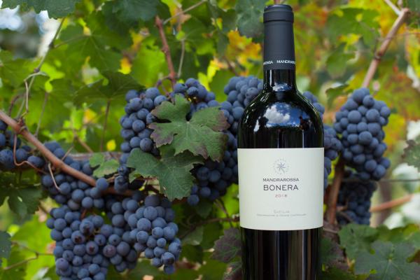 Bonera: Mandrarossa’s red loved by the Irish