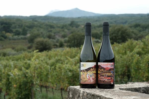 Mandrarossa Etna wines are awarded a gold and silver medal at WOW! The Italian Wine Competition