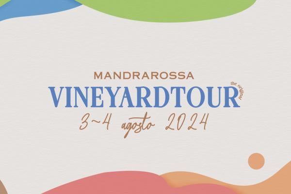 Mandrarossa Vineyard Tour 2024